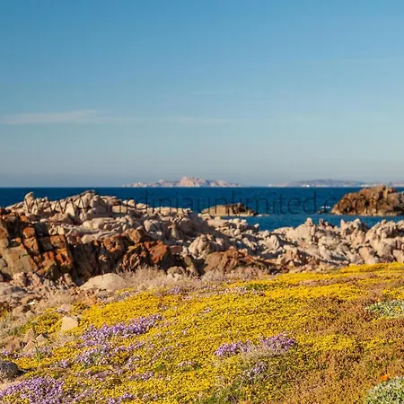 Il Rosso Di Tramonto Villa Aglientu